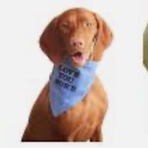 Reddy L/XL Blue Camouflage ‘Love You More’ Reversible Dog Puppy Pet Bandana